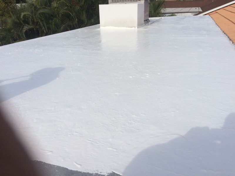 Products For Flat Roof Patchings in use
